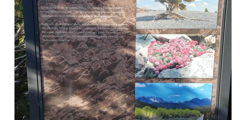 Camper submitted image from Pinnacle Group Campsite — Great Basin National Park