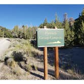 Review photo of Pinnacle Group Campsite — Great Basin National Park by Dexter I., July 29, 2022