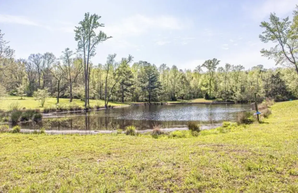 Camper-submitted photo at Camp Henning at Ellerbe Springs near Spring Lake, NC