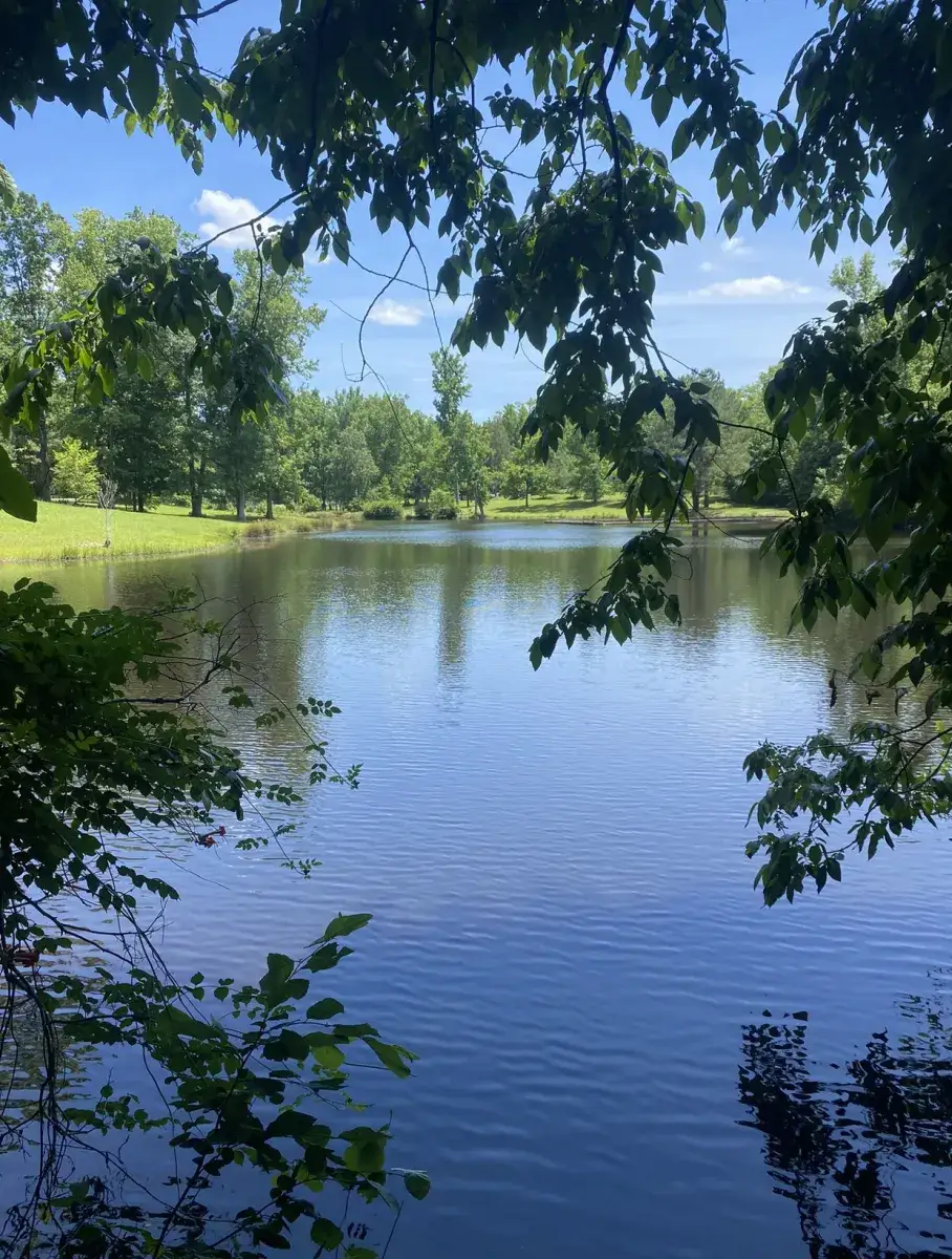 Camper-submitted photo at Camp Henning at Ellerbe Springs near Spring Lake, NC