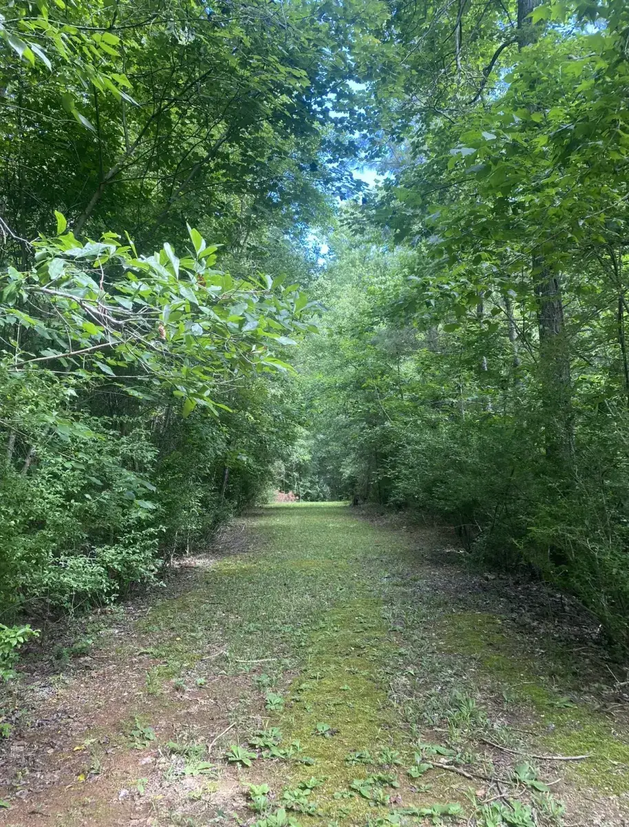 Camper-submitted photo at Camp Henning at Ellerbe Springs near Spring Lake, NC