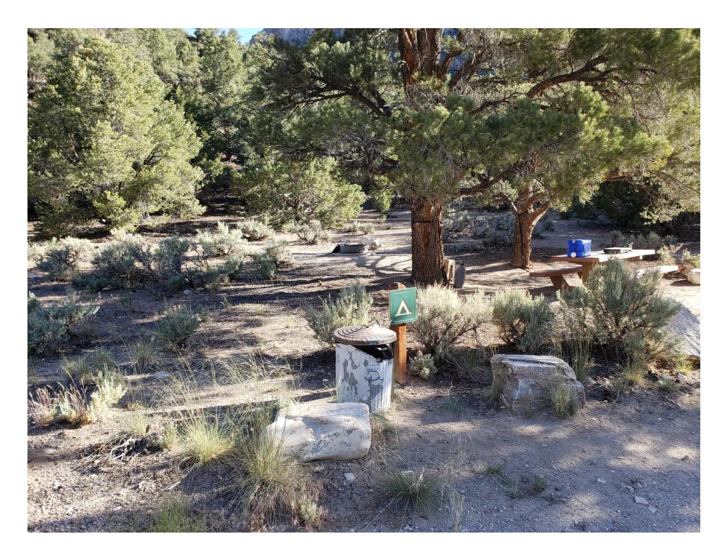 Camper submitted image from North Pinnacle Campsites — Great Basin National Park - 3