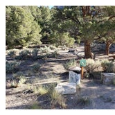 Review photo of North Pinnacle Campsites — Great Basin National Park by Dexter I., July 29, 2022