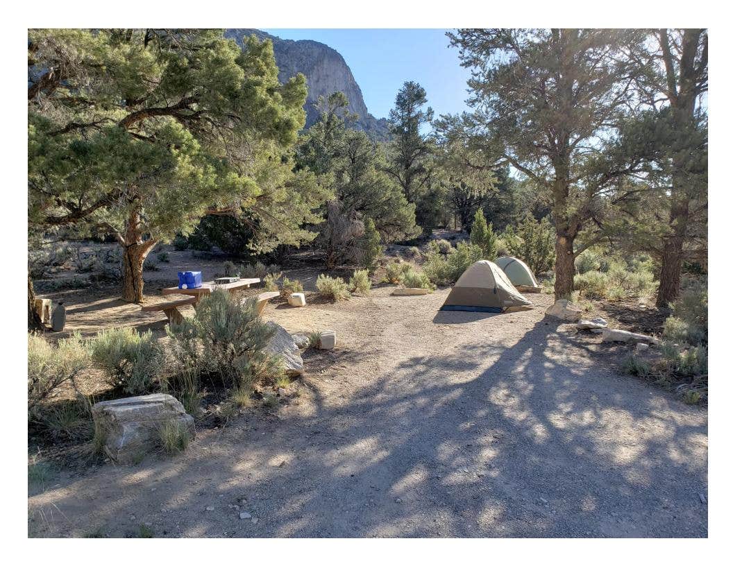 Dexter I.'s photo at North Pinnacle Campsites — Great Basin National Park in Nevada