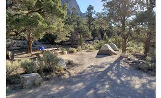 Dexter I.'s photo at North Pinnacle Campsites — Great Basin National Park near Great Basin National Park