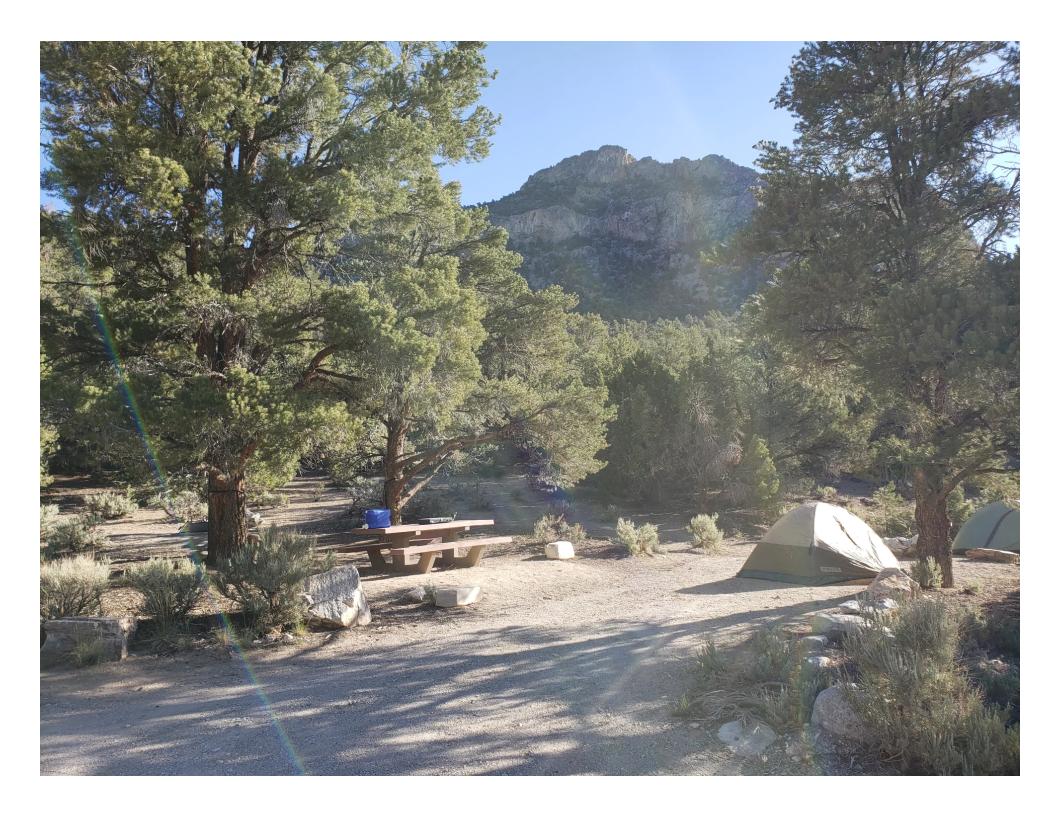 Camper submitted image from North Pinnacle Campsites — Great Basin National Park - 1
