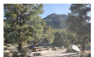 Camping near Sacramento Pass BLM Campground: North Pinnacle Campsites — Great Basin National Park, Baker, Nevada