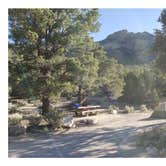 Review photo of North Pinnacle Campsites — Great Basin National Park by Dexter I., July 29, 2022