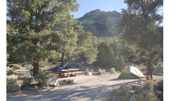 Camping near Baker Creek Campground — Great Basin National Park: North Pinnacle Campsites — Great Basin National Park, Baker, Nevada
