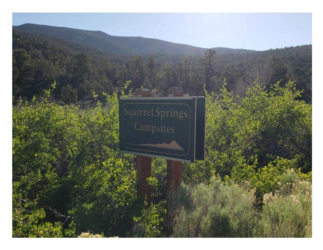 Camper-submitted photo at Squirrel Springs Campsites — Great Basin National Park near Baker, NV