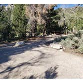 Review photo of Squirrel Springs Campsites — Great Basin National Park by Dexter I., July 29, 2022