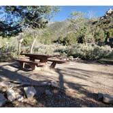 Review photo of Squirrel Springs Campsites — Great Basin National Park by Dexter I., July 29, 2022