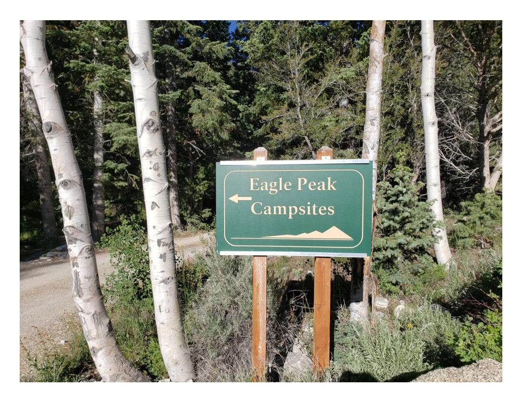 Camper-submitted photo at Eagle Peak Campsites — Great Basin National Park near Great Basin National Park