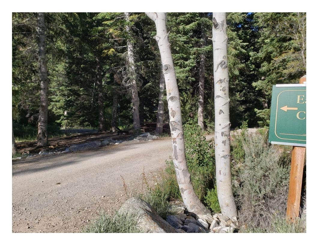 Camper submitted image from Eagle Peak Campsites — Great Basin National Park - 1