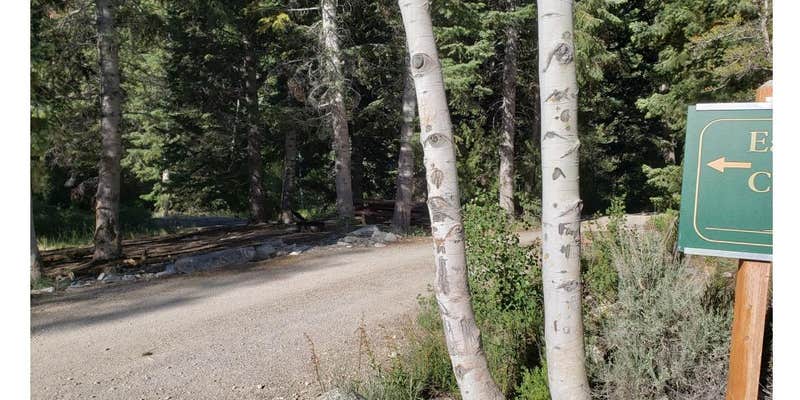 Camper submitted image from Eagle Peak Campsites — Great Basin National Park