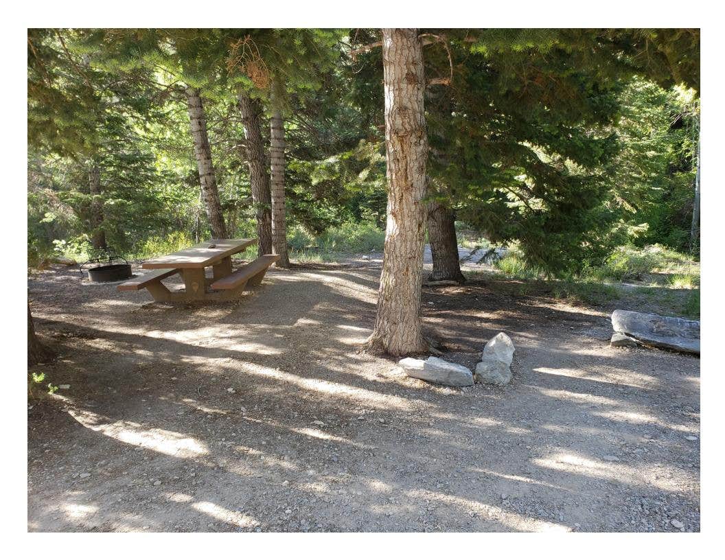 Camper-submitted photo at Eagle Peak Campsites — Great Basin National Park near Great Basin National Park