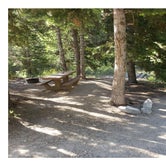 Review photo of Eagle Peak Campsites — Great Basin National Park by Dexter I., July 29, 2022