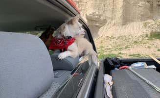 Art Torres & K.'s photo of camping with pets at Ricardo Campground — Red Rock Canyon State Park near Mojave, CA