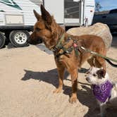 Review photo of Ricardo Campground — Red Rock Canyon State Park by Art Torres & K., July 30, 2022