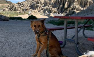 Art Torres & K.'s photo of camping with pets at Ricardo Campground — Red Rock Canyon State Park near Tehachapi, CA