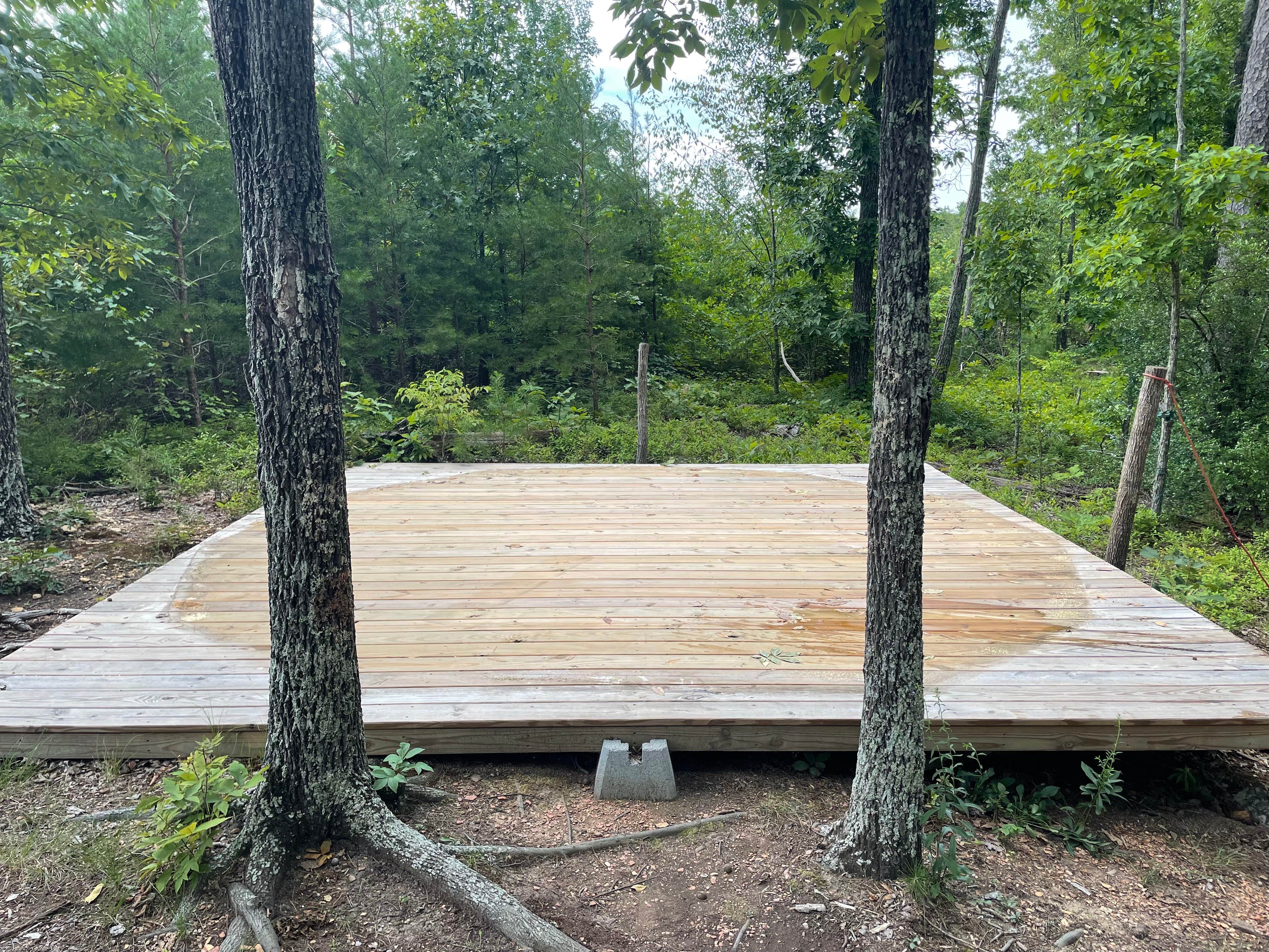 Camper-submitted photo at Hello Darlin Farms near Fruithurst, AL