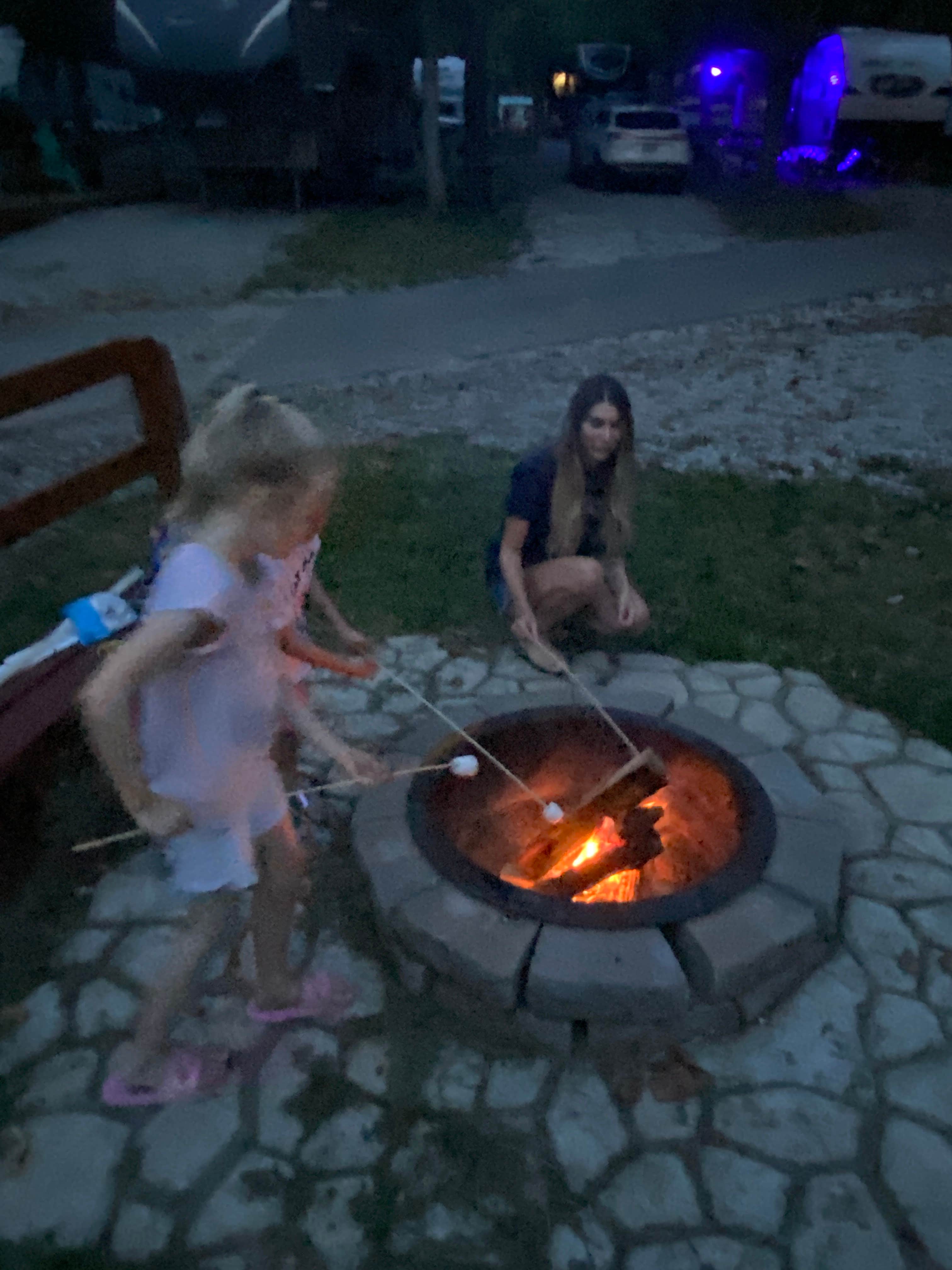 Camper-submitted photo at Paris Landing-Kentucky Lake KOA near Dresden, TN