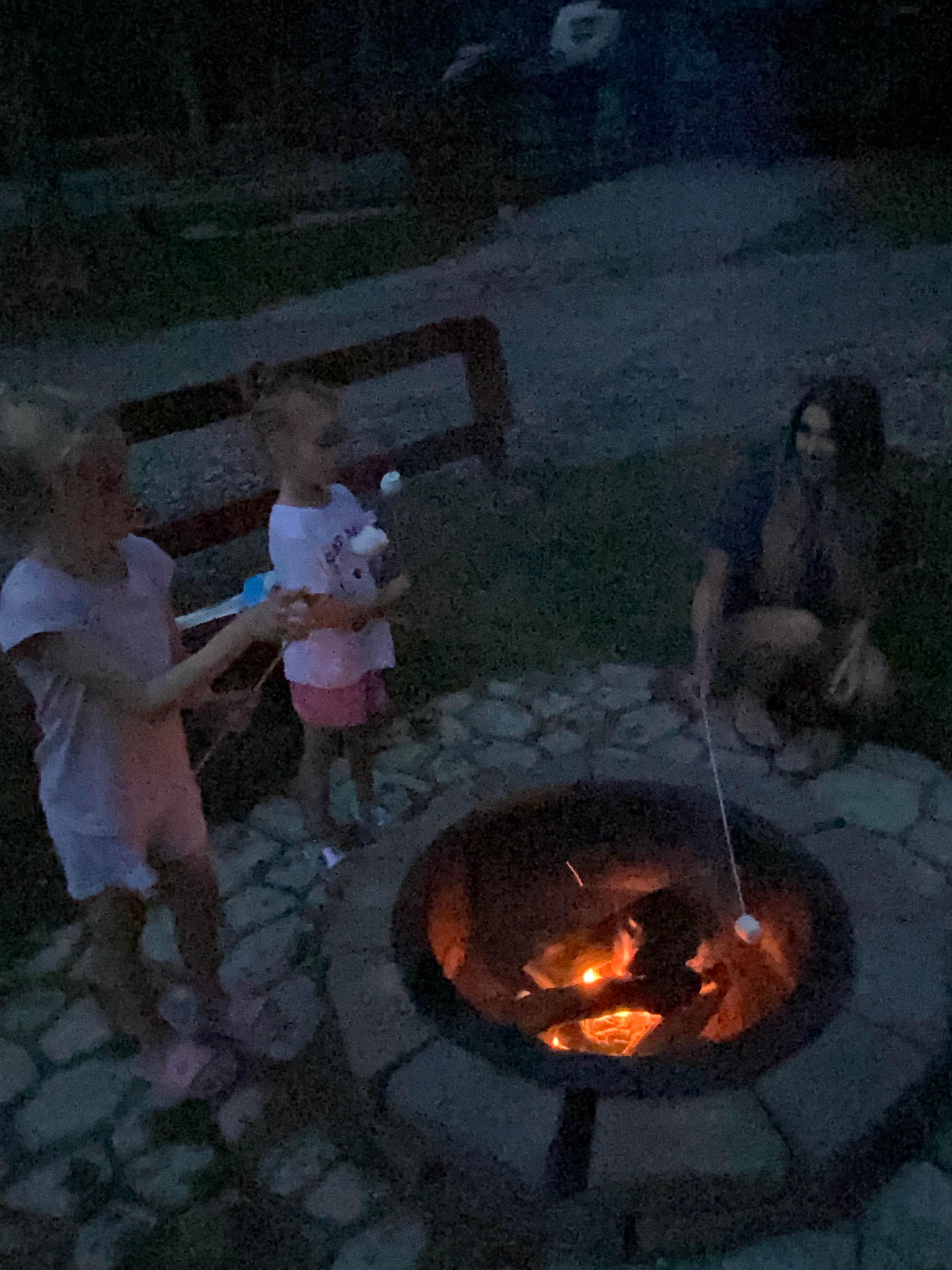 Camper-submitted photo at Paris Landing-Kentucky Lake KOA near Dresden, TN