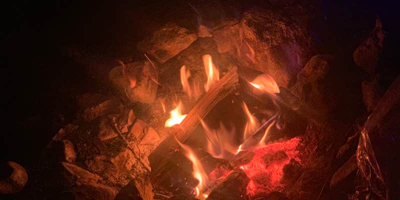 Camper submitted image from Tiki RV Park & Campground