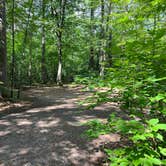 Review photo of Firefly Lake — Northern Highland State Forest by Art S., July 29, 2022