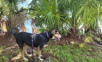 Jeanne W.'s photo of camping with pets at Encore Lake Magic near Auburndale, FL