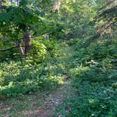 Review photo of Fort Wilkins Historic State Park — Fort Wilkins State Historic Park by Jessica P., July 30, 2022