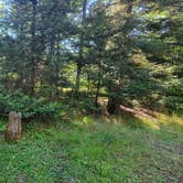 Review photo of Sparrow Rapids Campground by Jennifer T., July 30, 2022