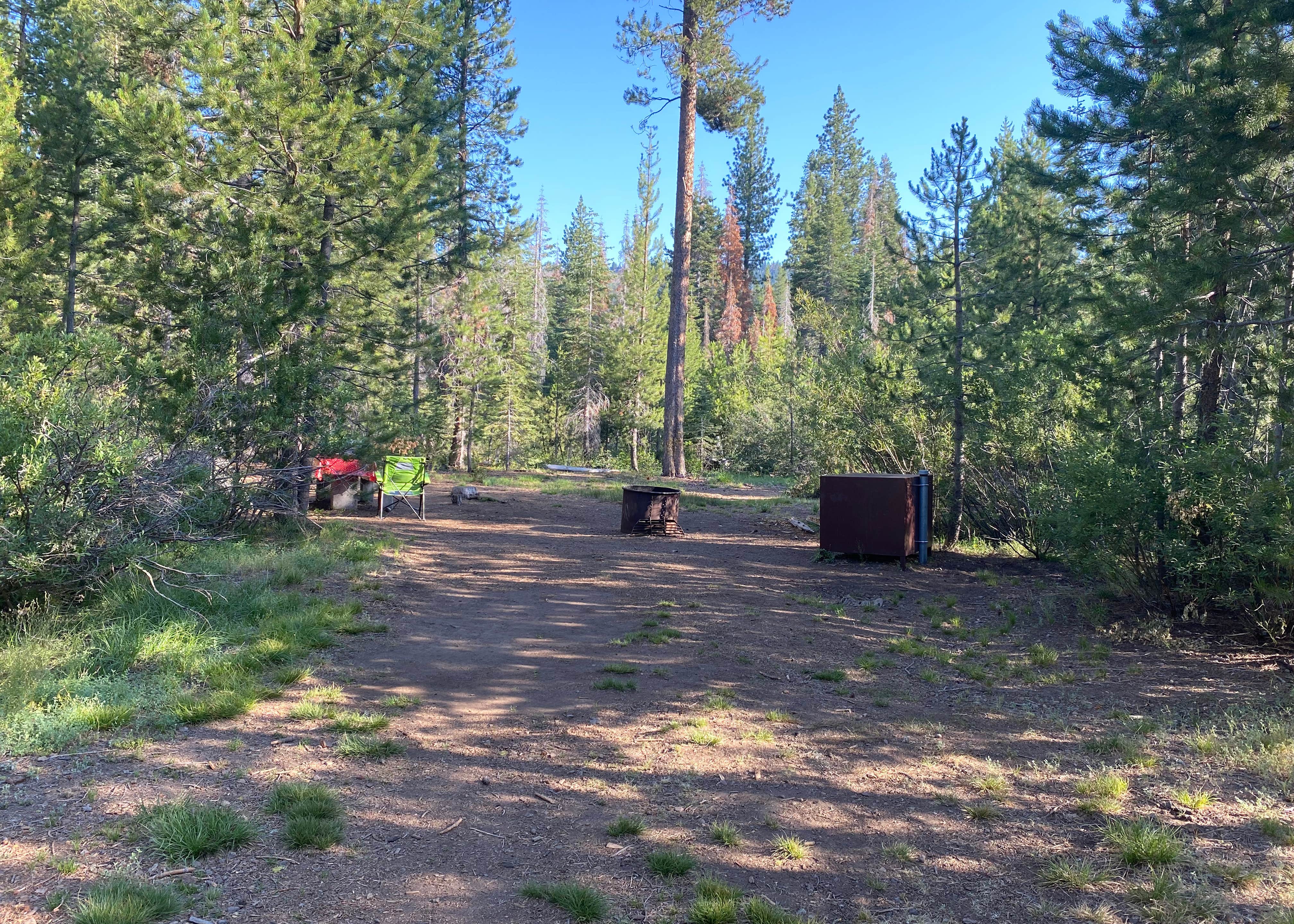 are dogs allowed at donner state park