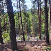 Review photo of West Magnolia Campground by Derek S., July 30, 2022