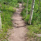Review photo of West Magnolia Campground by Derek S., July 30, 2022