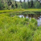 Review photo of West Magnolia Campground by Derek S., July 30, 2022
