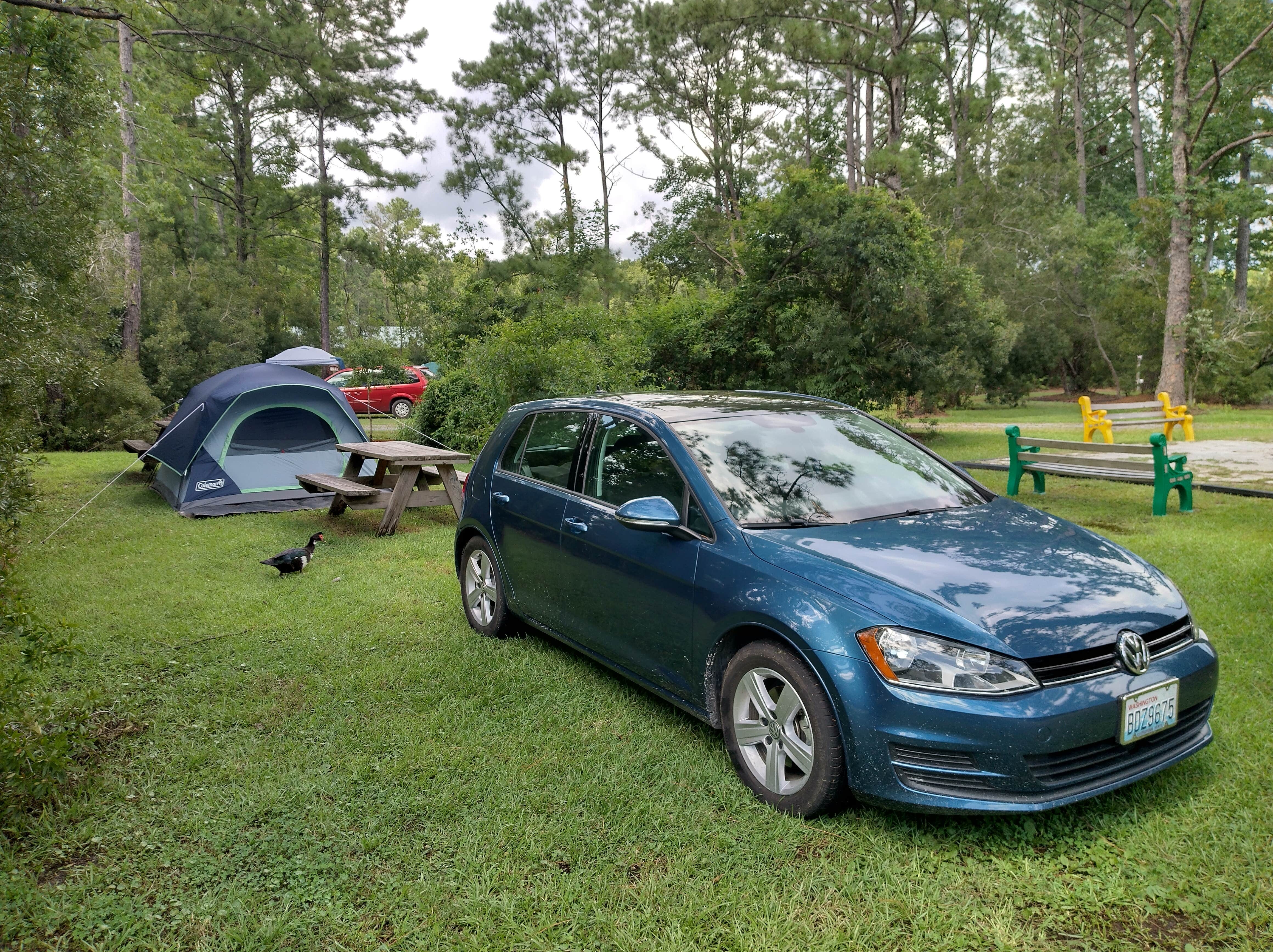 Alex M.'s photo at Lake Aire RV Park in South Carolina