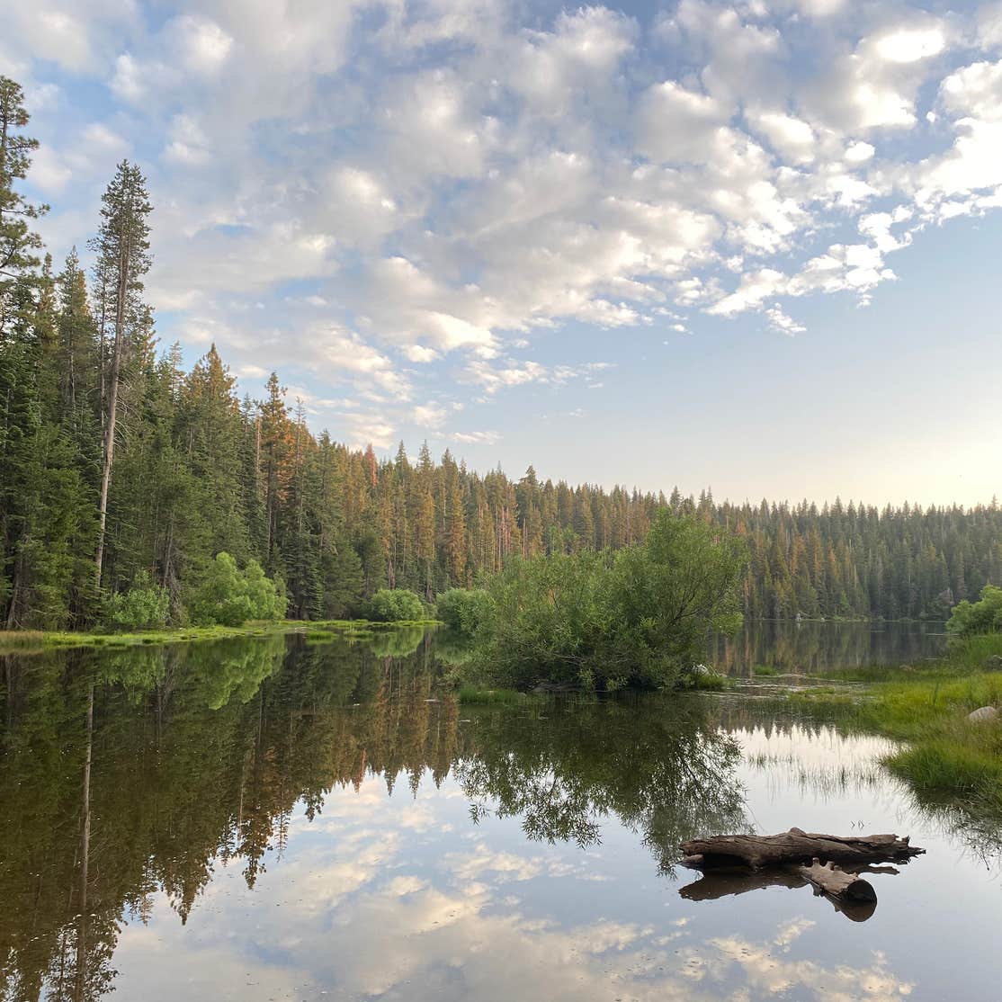 Thousand Trails Snowflower Camping Emigrant Gap, CA