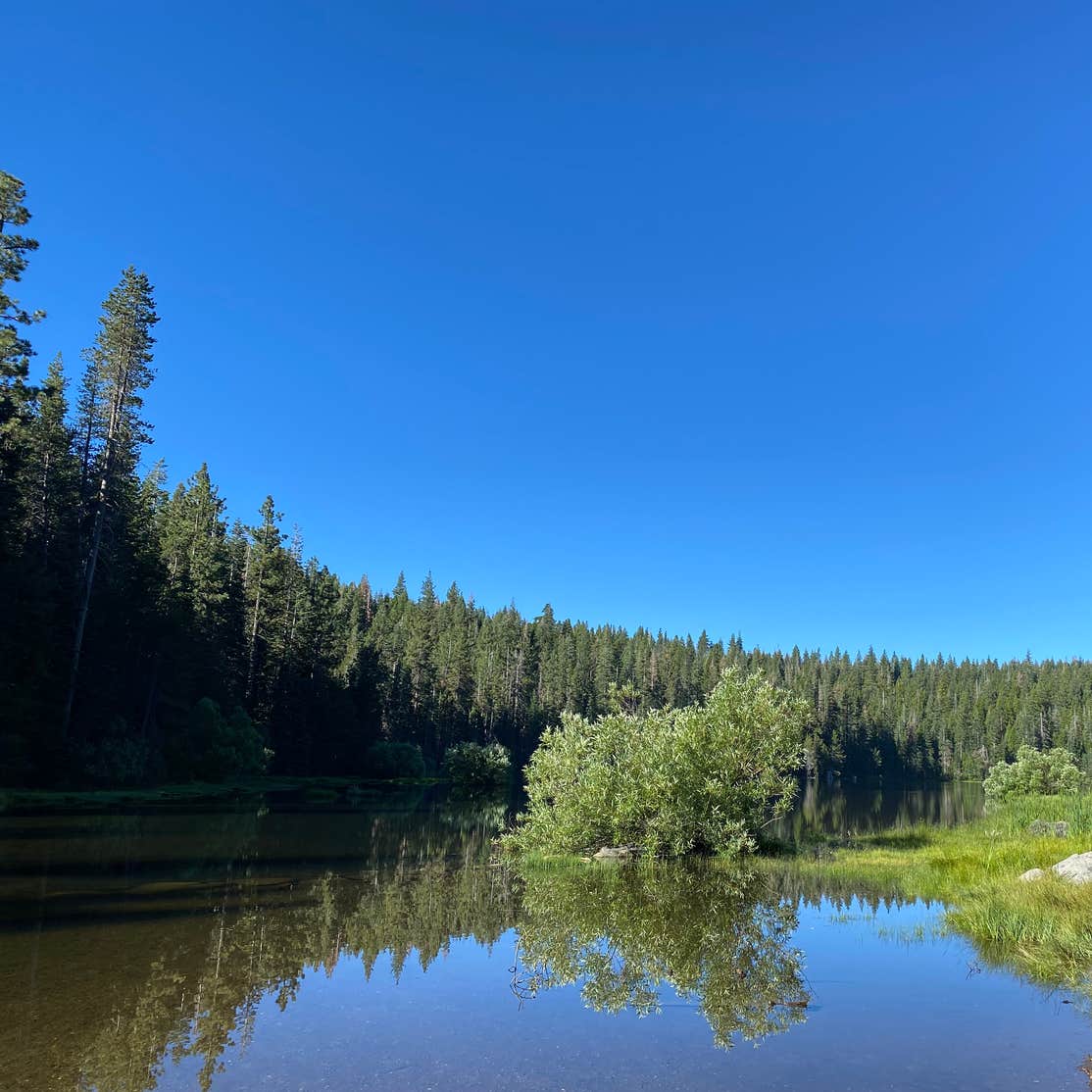 Thousand Trails Snowflower Camping Emigrant Gap, CA
