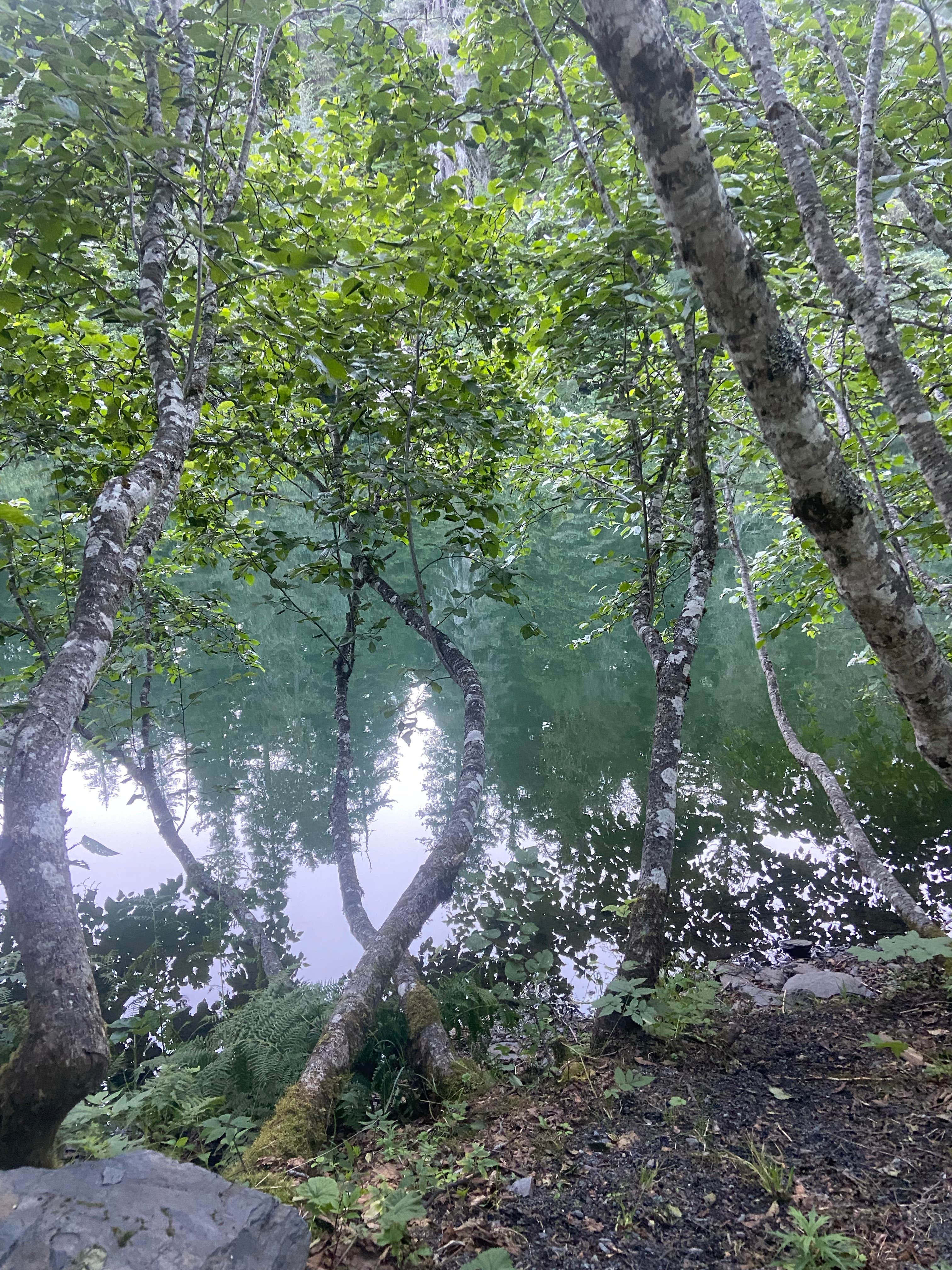 Camping near Sourdough Sue's Bear Lake Lodging: Grouse Lake Campground, Seward, Alaska