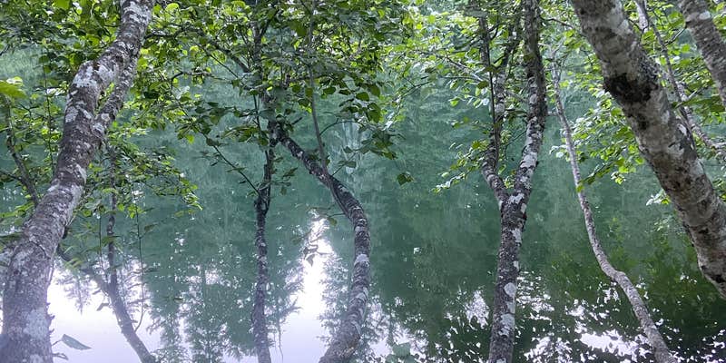 Camper submitted image from Grouse Lake Campground