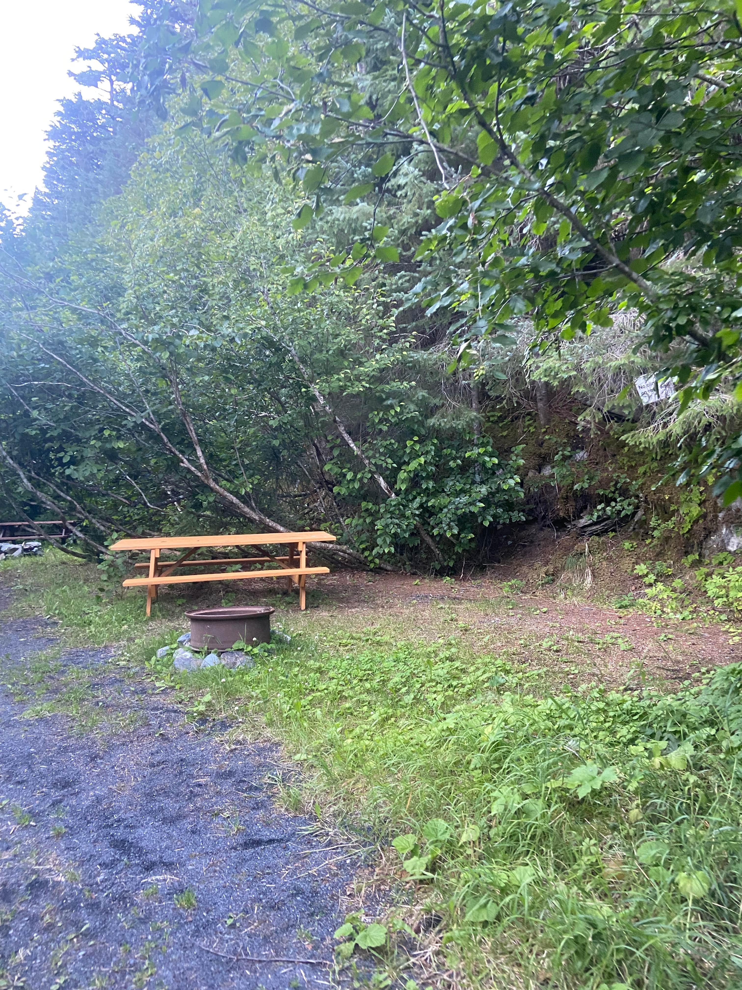 Camper-submitted photo at Grouse Lake Campground near Kenai Fjords National Park