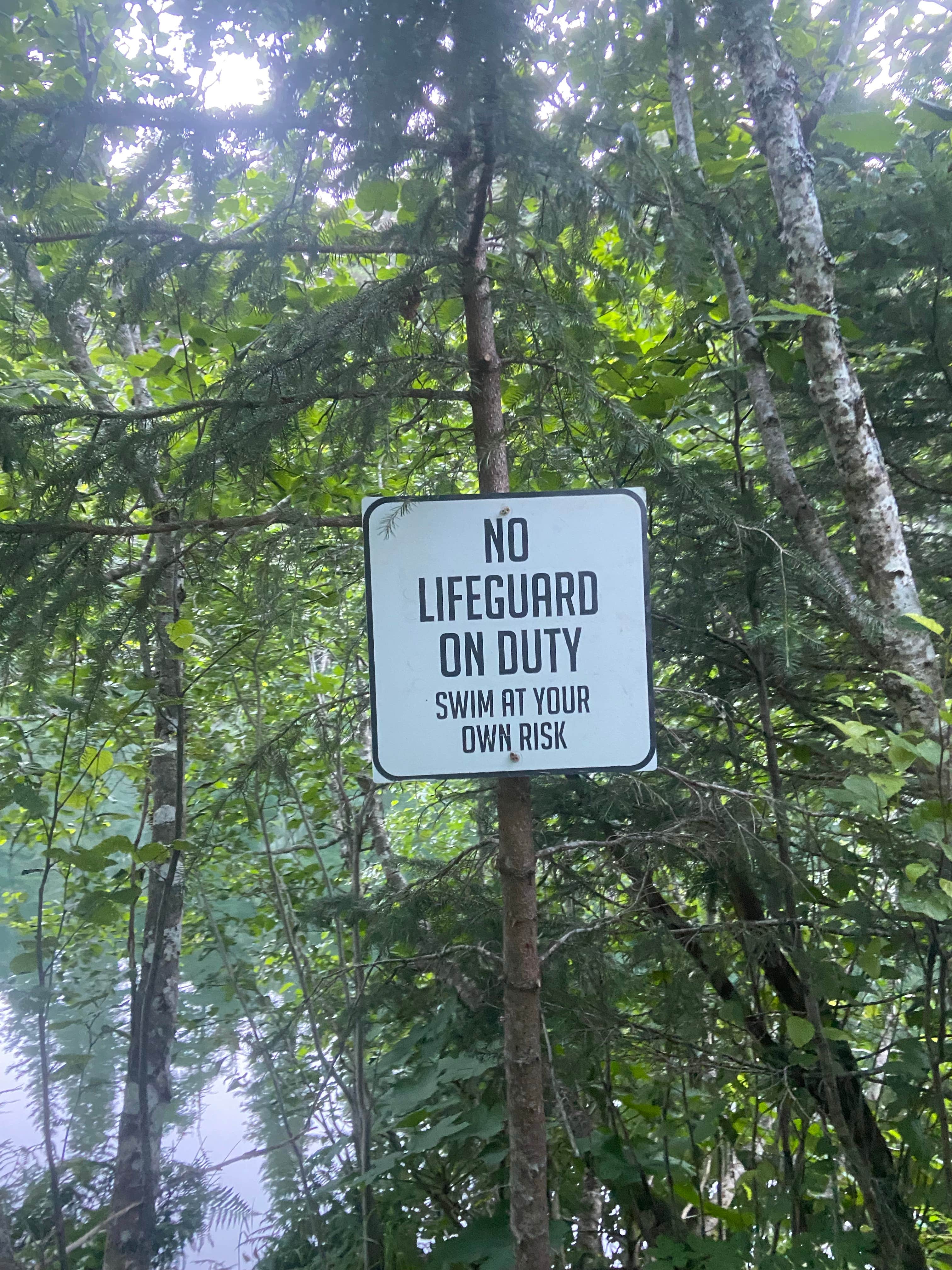 Camper-submitted photo at Grouse Lake Campground near Kenai Fjords National Park