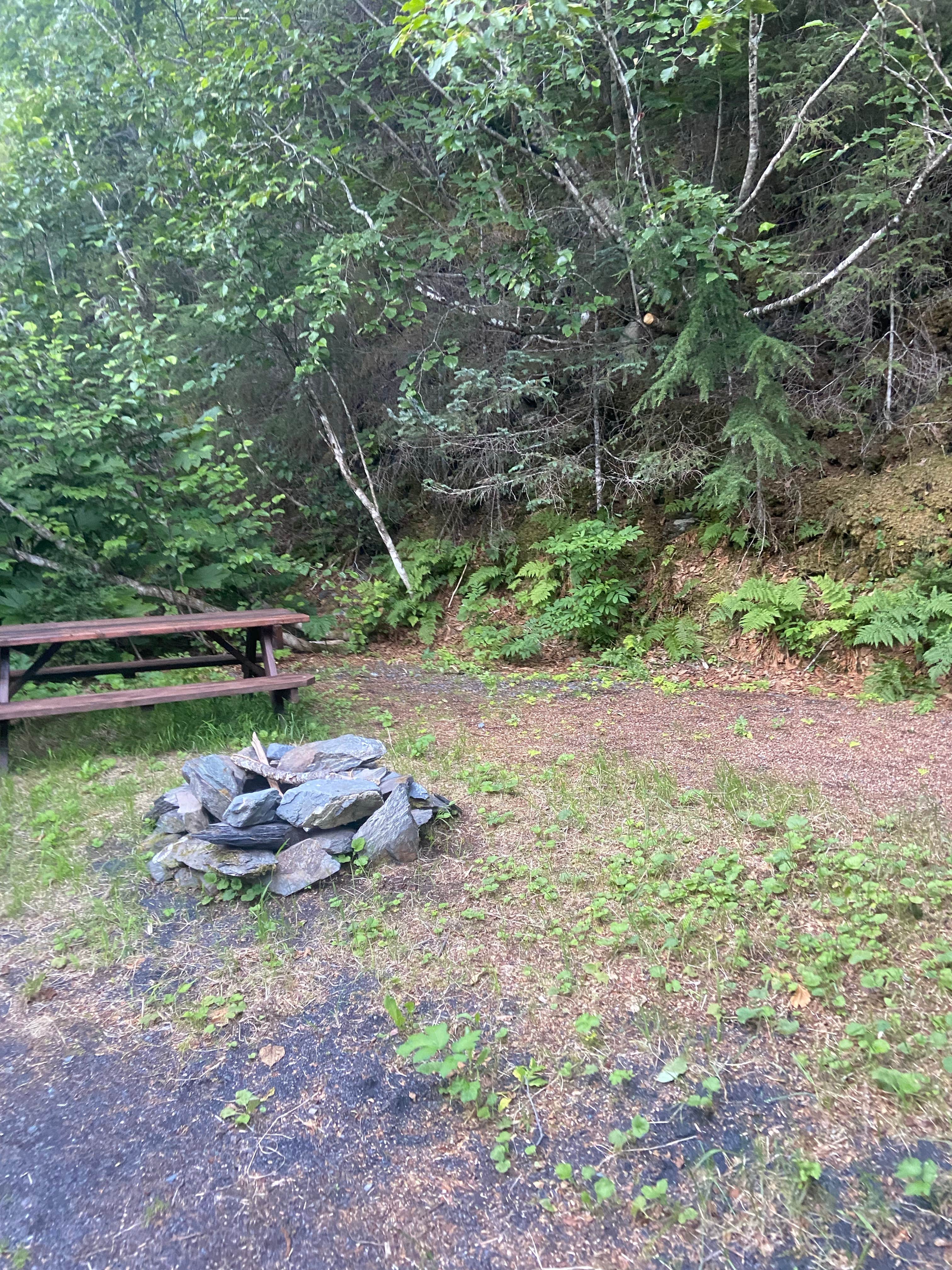 Camper-submitted photo at Grouse Lake Campground near Kenai Fjords National Park