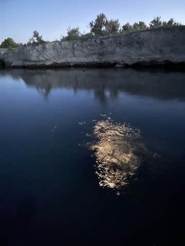 Eric L.'s photo of a dispersed camping area at Bog Hot Springs Dispersed Camping near Denio, NV
