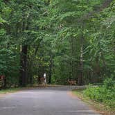 Review photo of Wompatuck State Park Campground by Timothey S., July 25, 2020