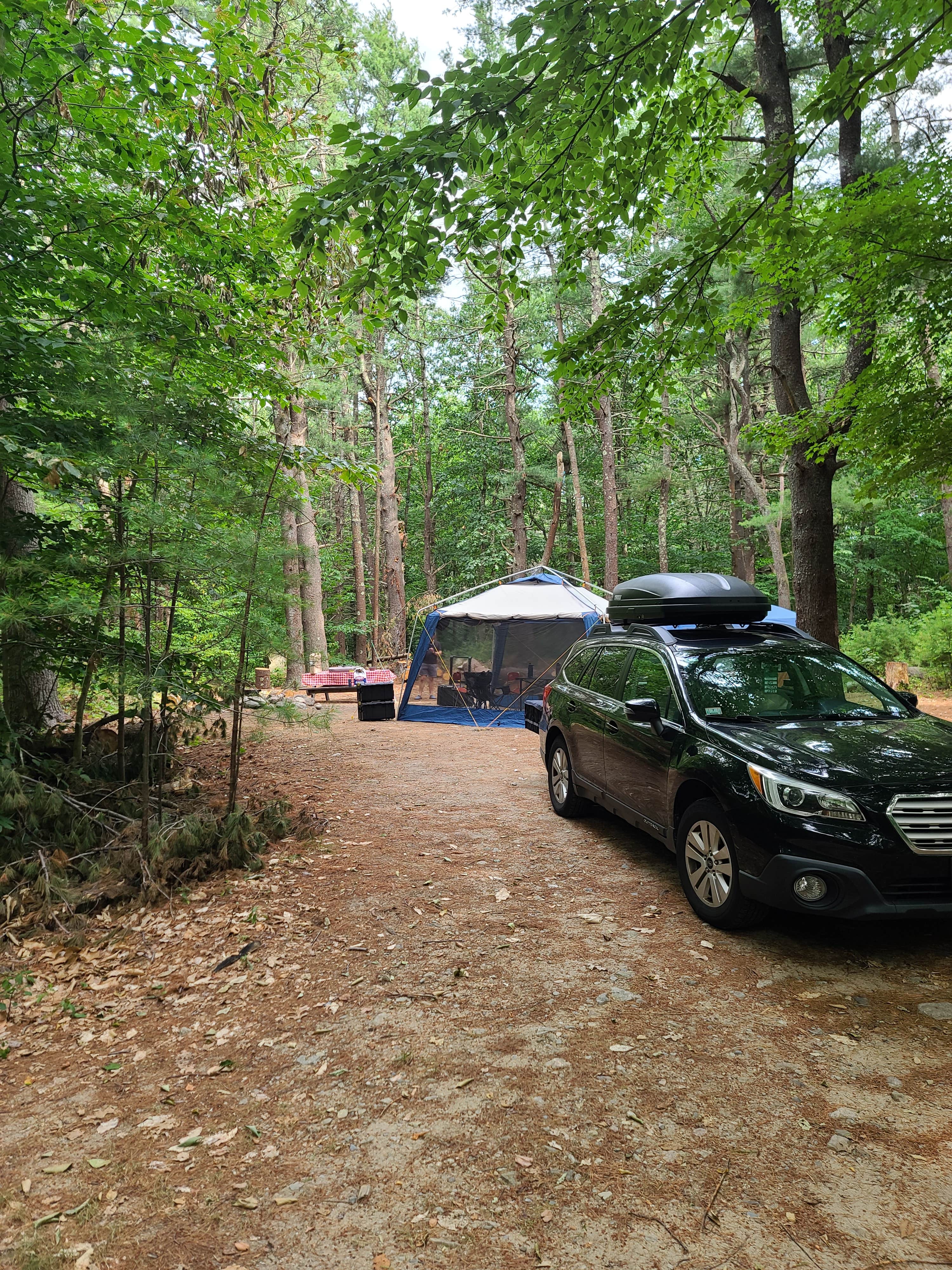 Tim S.'s photo at Wompatuck State Park Campground near Cambridge, MA