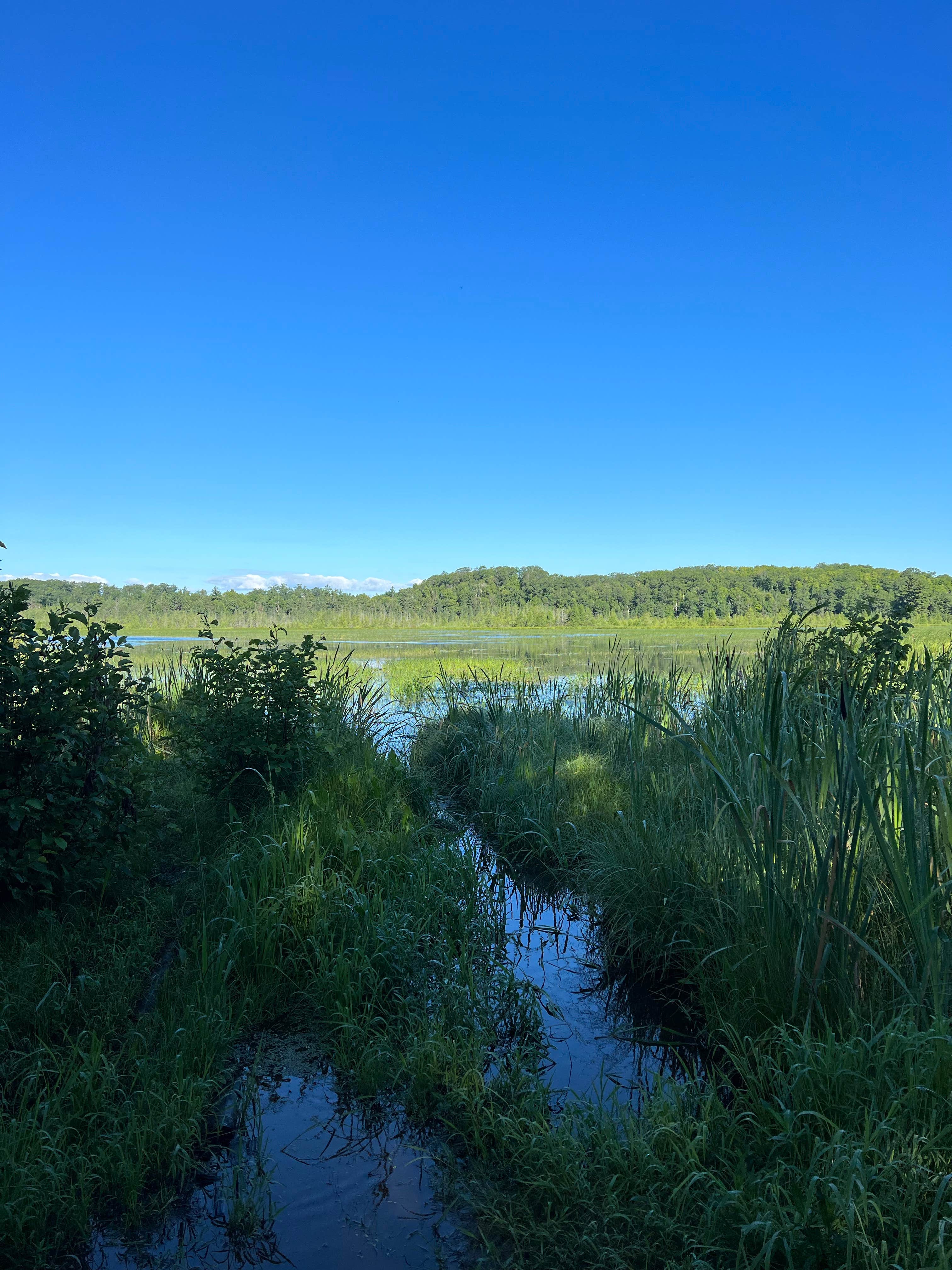 Camper submitted image from Razorback Lake Campground — Northern Highland State Forest - 2