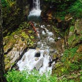Review photo of Hoh Campground — Olympic National Park by Carla S., July 27, 2016