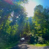 Review photo of Moshannon State Forest by kallan , July 30, 2022